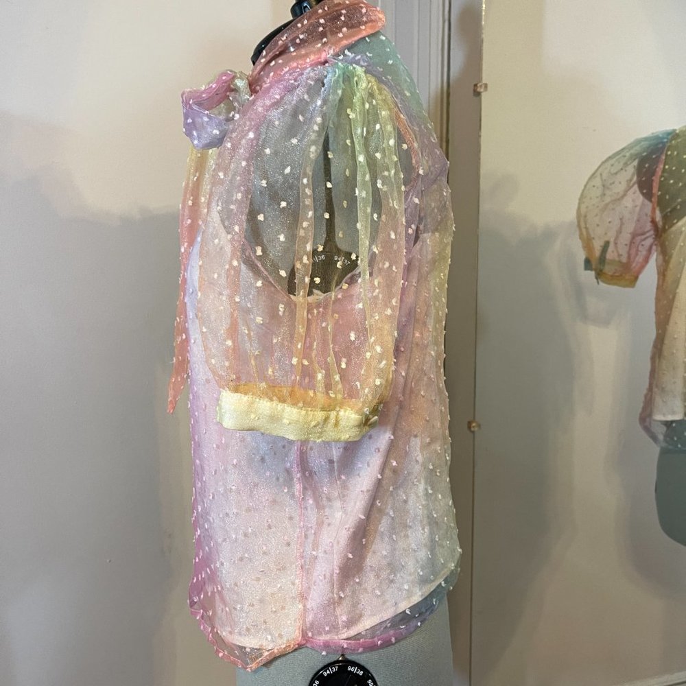 Vici Sheer Blouse - Picture 3 of 7